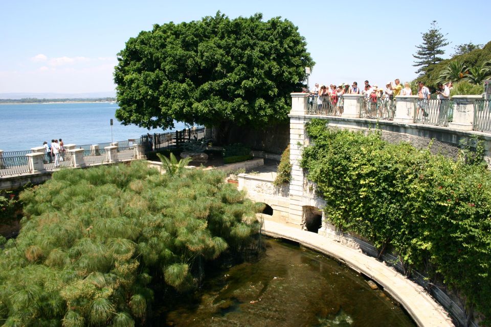 Syracuse: Ortigia Classic Walking Tour - Archimedes Square and Diana Fountain: lively landmarks with real context