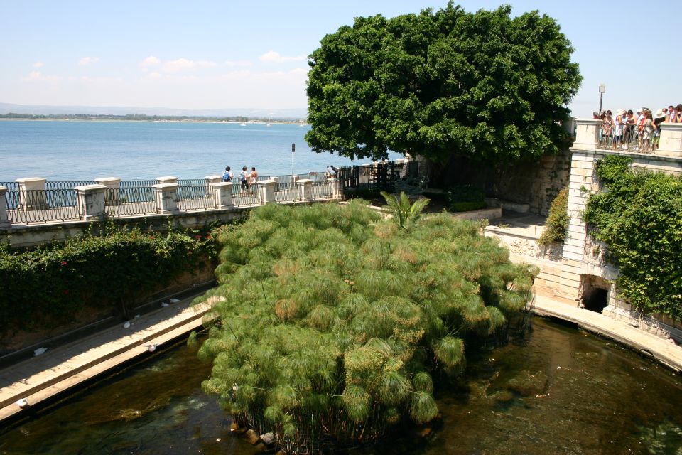 Syracuse: Ortigia Private Walking Tour - Jewish Quarter and Via Maestranza: reading Ortigia’s social map