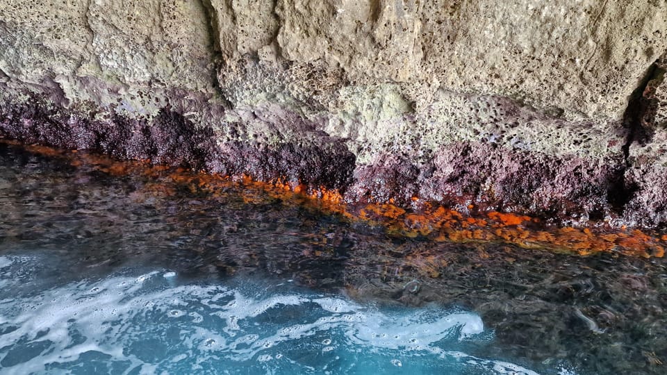 Syracuse: Picnic boat tour of Pillirina, Ortigia & sea caves - Key things I’d plan around
