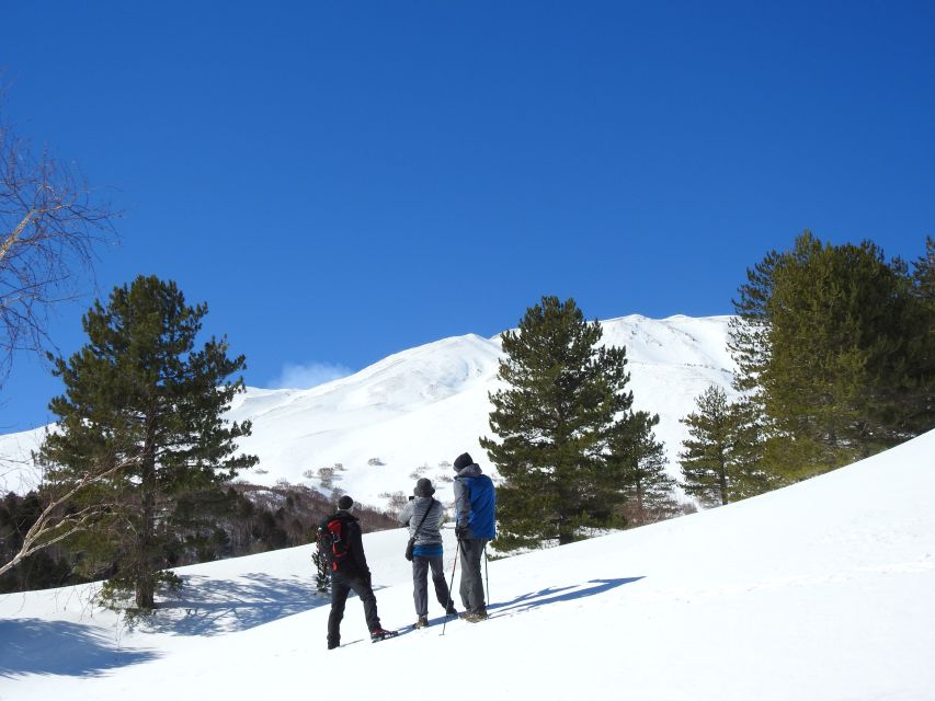 Taormina and Catania: Private Etna Exploration and Cave Tour - Who should book this Etna jeep-and-cave tour