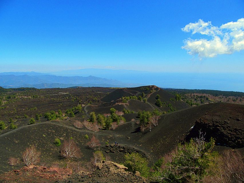 Taormina and Catania: Private Etna Exploration and Cave Tour - Etna Park time: the scenery break and the guided structure