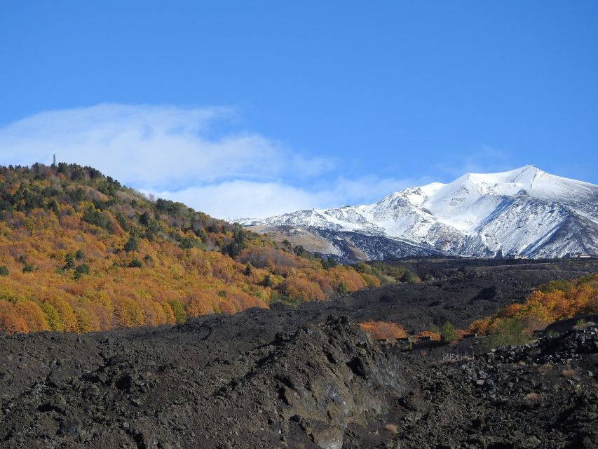 Taormina and Catania: Private guided Etna hike by cable car - Valle del Bove: seeing the eastern-flank depression at scale