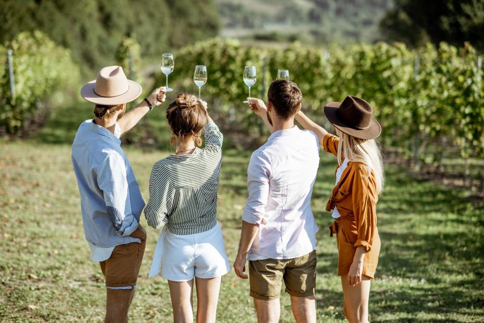 Taormina: Guided Etna Wine Tasting Half-Day Tour - Pickup points and what the schedule really means for your afternoon