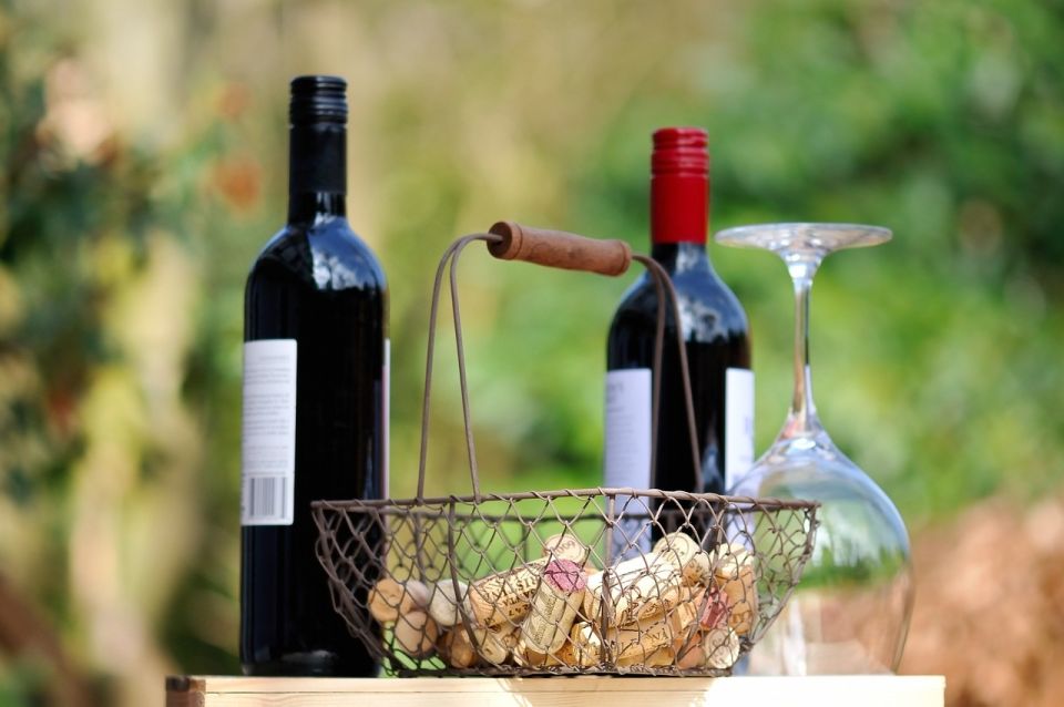 Taormina: Guided Etna Wine Tasting Half-Day Tour - Gambino winery on Etna’s slopes: the part that feels most local