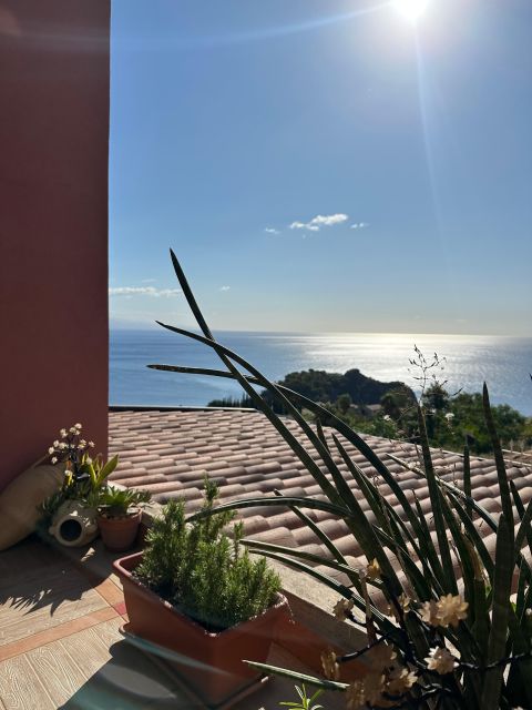 Taormina Half-Day Sicilian Cooking Class & Market Tour - The Main Course Choice: Fish Taormina-Style, Involtini, or Polpette