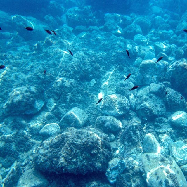 Taormina: Private Boat Tour with aperitif - Boat comfort that actually helps: cabin, bathroom, and shaded relief