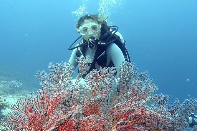 Taormina Scuba Diving Experience - Who This Experience Fits Best (And Who Might Want to Think Twice)