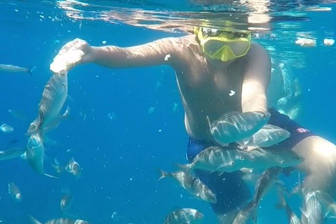 Taormina snorkeling experience - Snorkel equipment and crew support: the difference between easy and exhausting