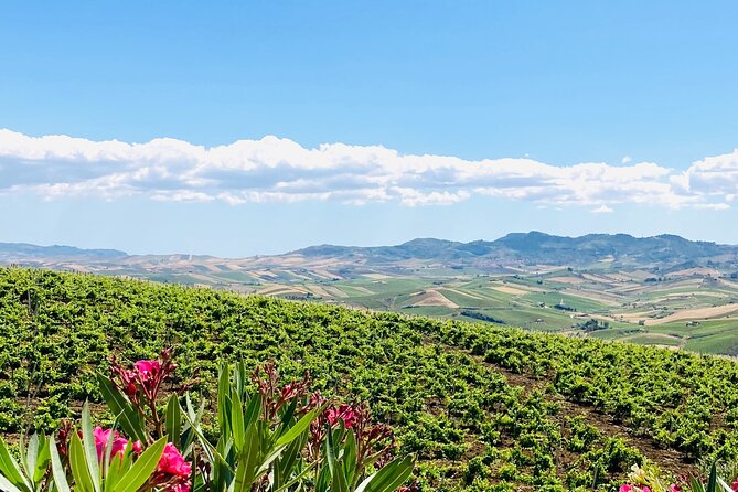 Tastes of the Weekend: Friday Sunset and Saturday Lunch - Who This Fits Best (And Who Might Want Something Different)