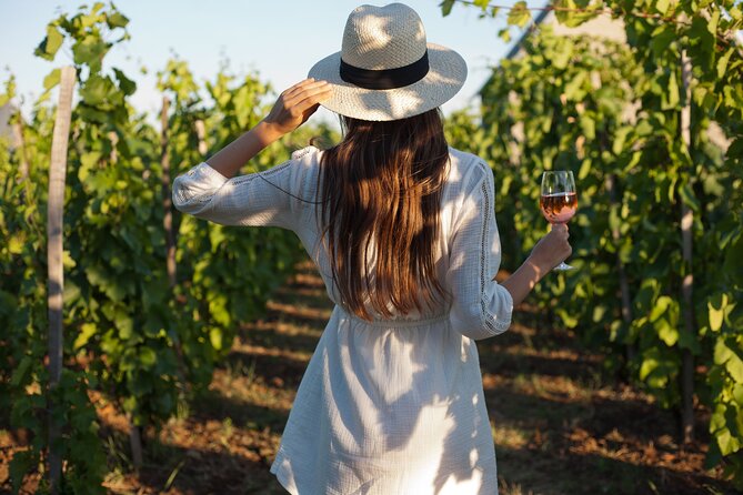 Tour Etna & Wine Tasting - Mt Etna and Wine, From Taormina: What Your Day Feels Like