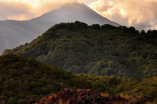 Tour Etna & Wine Tasting Private - Small-group pace (max 8) and the guide who keeps it fun