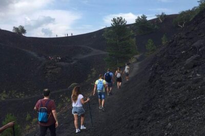 Tour Etna & Wine Tasting Private - Winery time: vineyards, lunch, cellar visit, and Gambino volcanic wines
