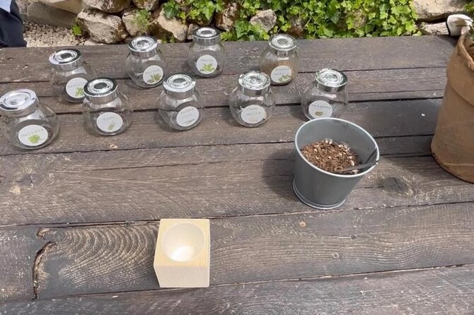 Tour in the heady scents of our garden in Ragusa - Key Things You’ll Notice on This Ragusa Garden Walk