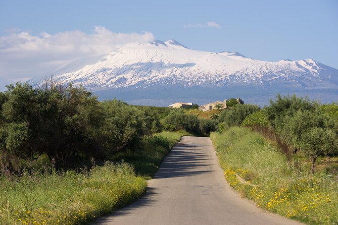 Tour of the Etna cellars, typical lunch and wine tasting - Why this Etna-from-Taormina plan makes sense