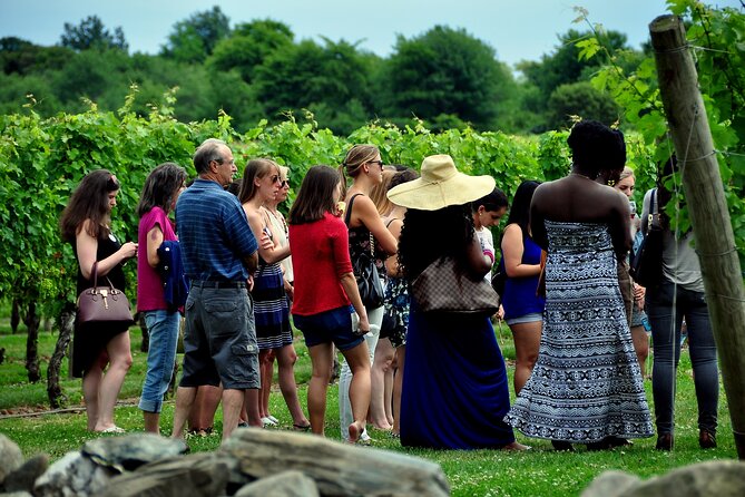 Tour of the Etna cellars, typical lunch and wine tasting - What the guide adds (beyond the itinerary)