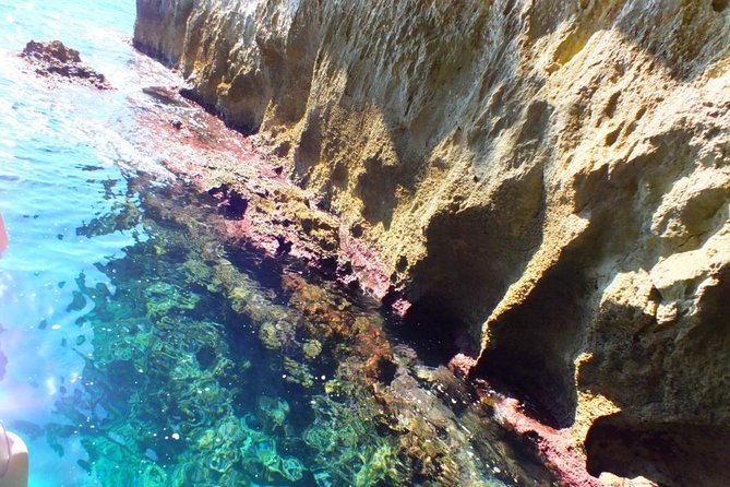Tour of the island of Ortigia and exploration of sea caves with baths. - Guides, English, and the Small-Boat Vibe
