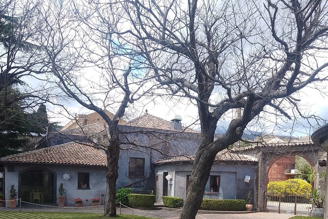 Tour two wineries of Etna wine tasting and lunch - Mount Etna plus two wineries: why this day works