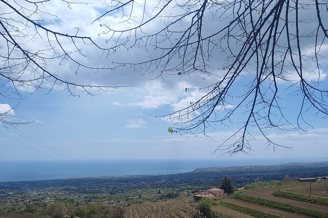 Tour two wineries of Etna wine tasting and lunch - Price and value: is $355.82 per person fair?