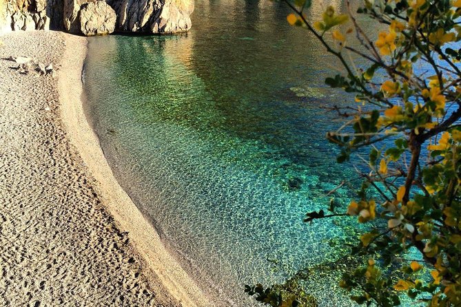 Transfer from Palermo Airport to Marina di Portorosa, Furnari - Price and value: what $302.64 per person buys you