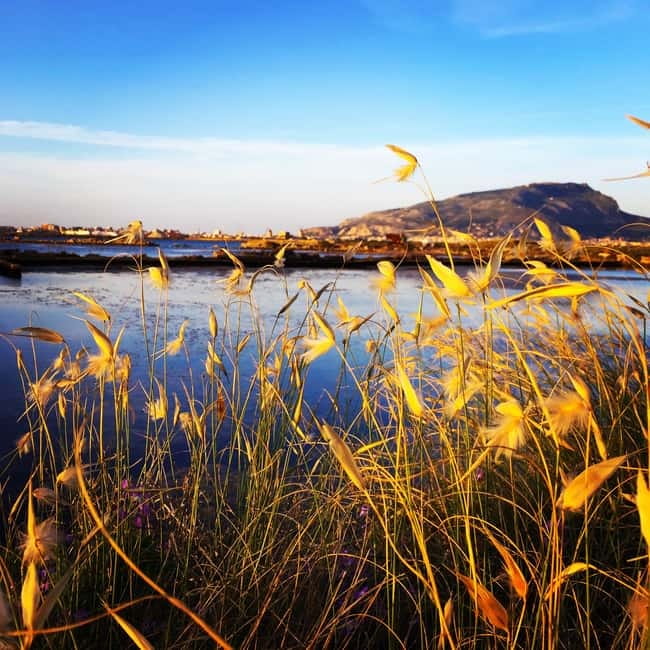 Trapani: 2-Hour Salt Flats Tour - The salt museum in a renovated old mill