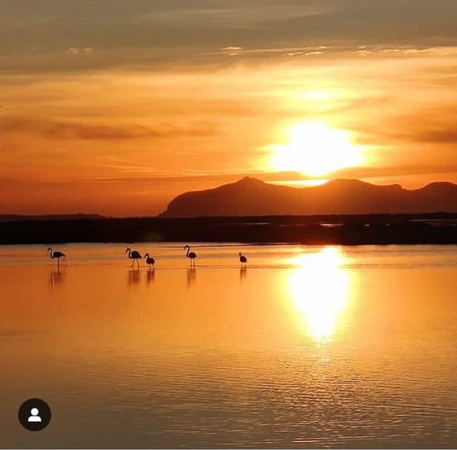 Trapani: Salt Pans Sunset Tour and Flamingo Way - Trapani’s salt flats at sunset: why this works as a short tour