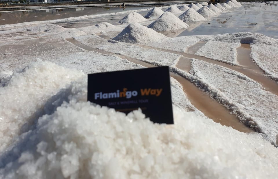 Trapani: Salt Pans Sunset Tour and Flamingo Way - Salina Calcara pass-by and scenic moments for second-chance photos