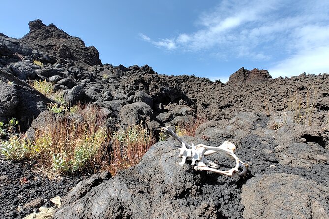 Trekking to Bottoniera Craters - Stop: Bottoniera Craters and the 2002 Eruption Area