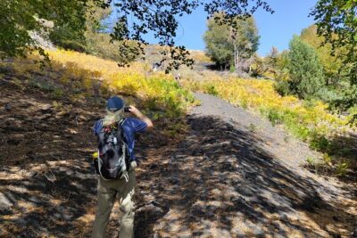 Trekking to Bottoniera Craters - The 3-Hour Plan: What You Can Expect On the Ground