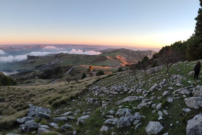 Truffle hunting in the Sicani mountains: a unique experience in Sicily - On the ground: walking the woods, digging for treasures, and what the pace feels like