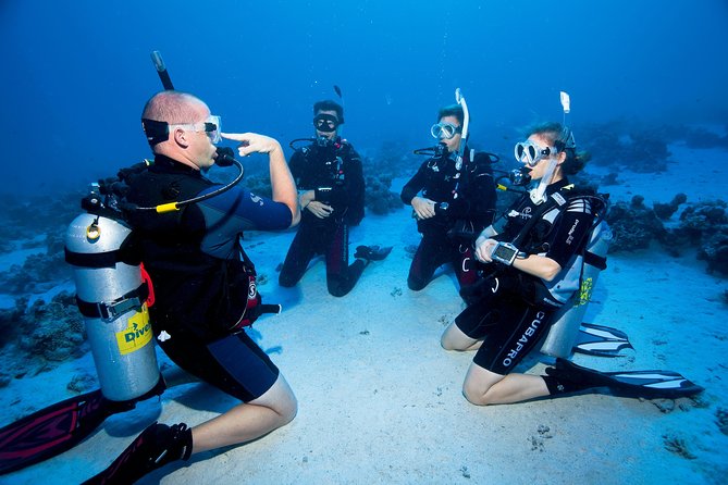 Try Scuba Dive (baptism of the sea) - 9:00 AM Meet-Up at Lungomare Scardamiano: How the Day Flows