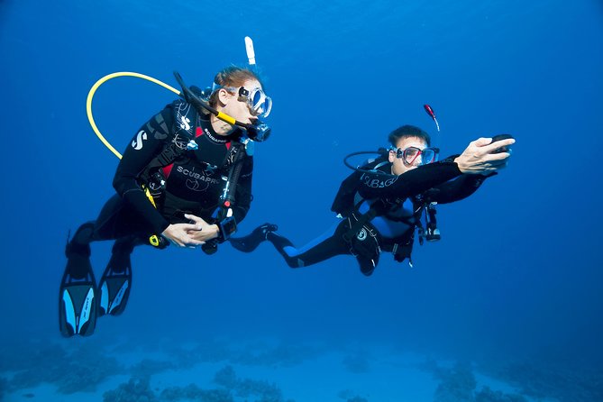 Try Scuba Dive (baptism of the sea) - Inside the SSI Diamond Center: Comfort, Equipment, and Real Hospitality