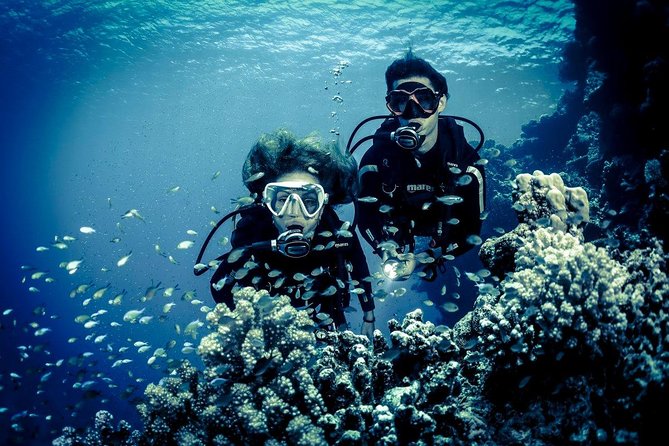 Try Scuba Dive (baptism of the sea) - After the Session: Certificate, Castle Views, and Rodolico Axe Masters