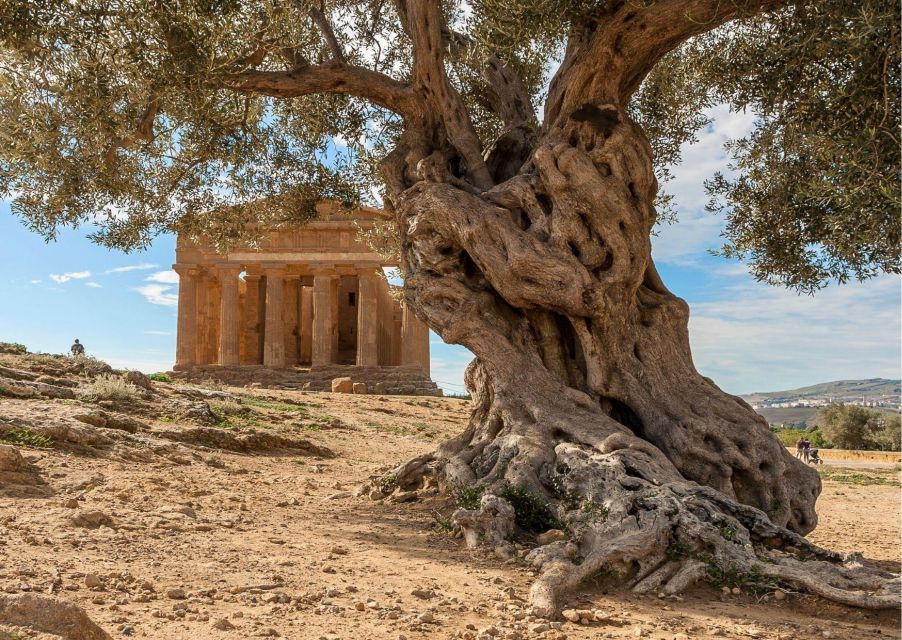 Valley of the Temples and Villa Romana Multi-Language Tour - Why this order makes sense: Villa first, Valley second