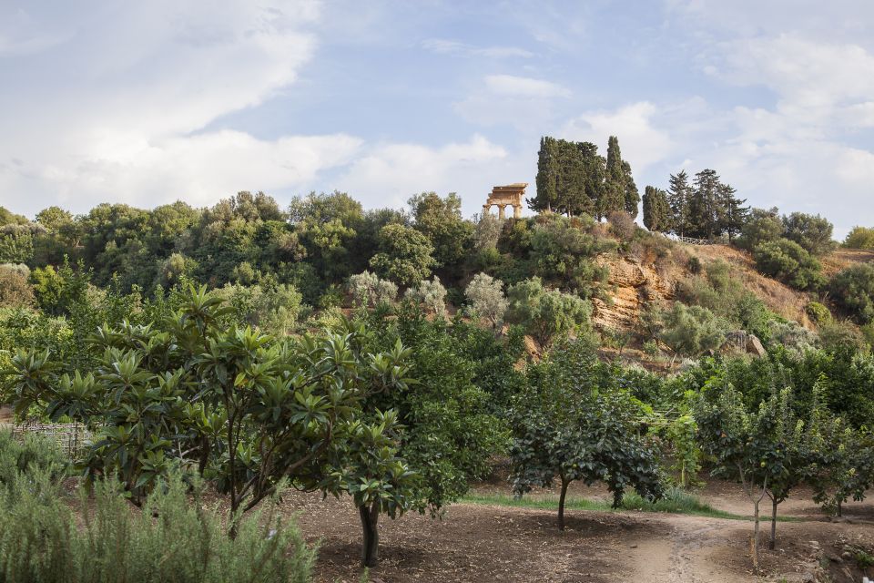 Valley of the Temples: Kolymbethra Garden Entry Ticket - Kolymbethra Garden inside Agrigento’s Valley: Porta V and the setup