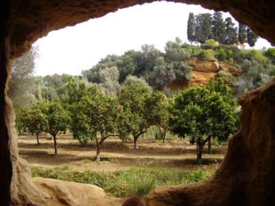 Valley of the Temples: Kolymbethra Garden Entry Ticket - Strolling the citrus shade: oranges, almonds, olives, and water in the background