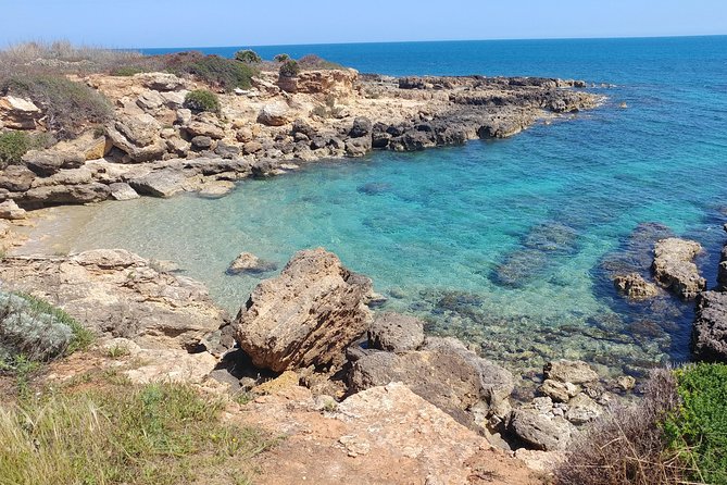 Vendicari Nature Reserve Tour - Pantano Piccolo walk: the coast and marsh edge you’ll remember
