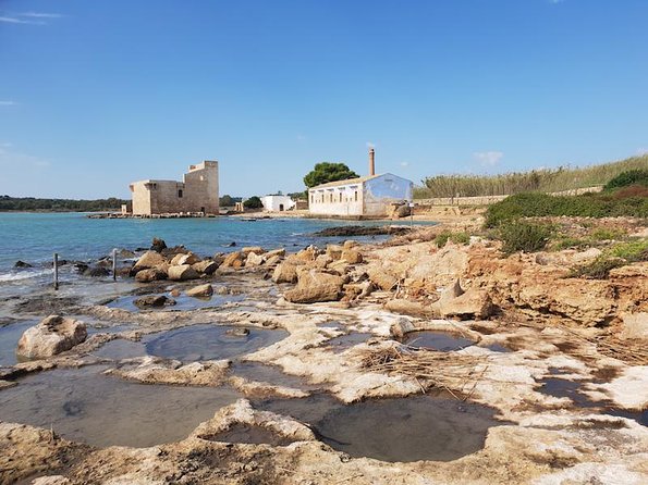 Vendicari - Sicily's best coast nature reserve ( Birdwatching & Archeology ) - Marshland Birdwatching: Where You Actually See the Reserve Doing Its Job