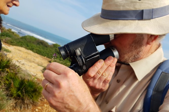 Vendicari - Sicily's best coast nature reserve ( Birdwatching & Archeology ) - Tuna Museum, Ancient Tuna Factory, and a Fishing Story That Spans Centuries