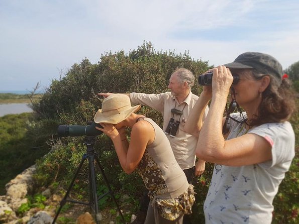 Vendicari - Sicily's best coast nature reserve ( Birdwatching & Archeology ) - Ancient Greek Fish Farm: Food Tech From a Very Old Playbook
