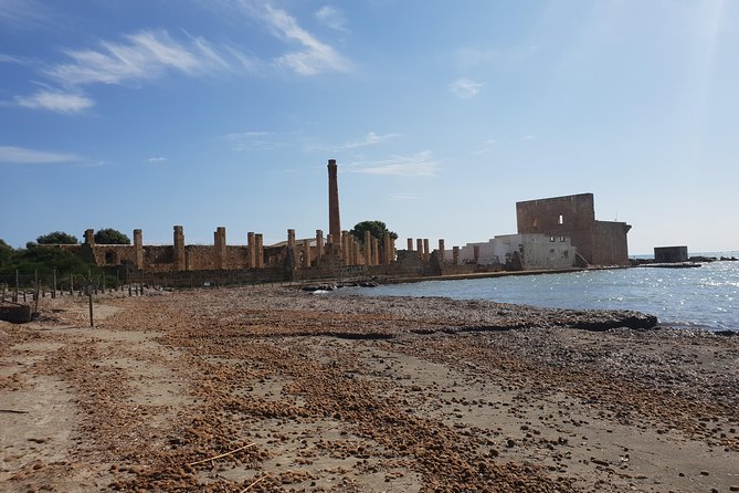 Vendicari - Sicily's best coast nature reserve ( Birdwatching & Archeology ) - Optional Beach Time: When a Swim Makes Sense at Vendicari
