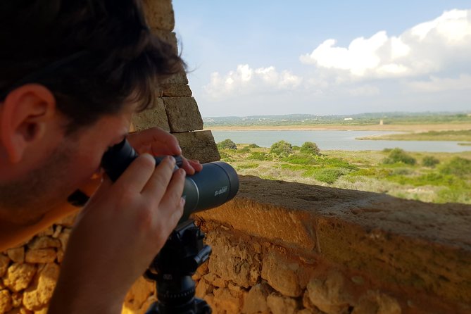 Vendicari - Sicily's best coast nature reserve ( Birdwatching & Archeology ) - Dunes and the Nearly-Extinct Coastal Habitat