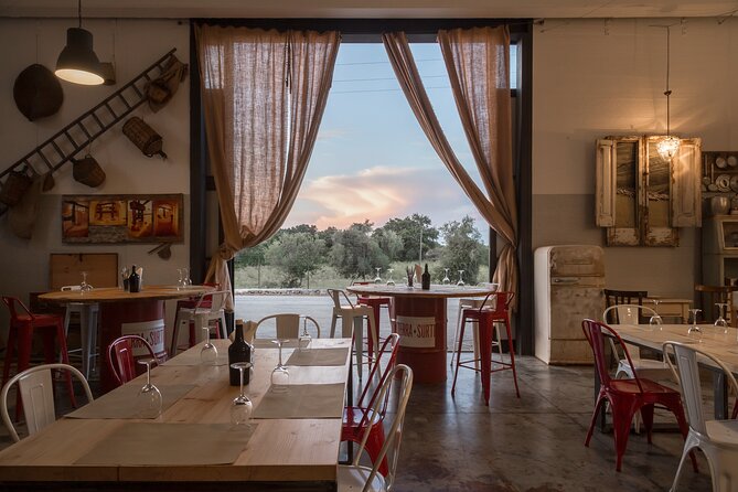Visit to the olive grove, oil tasting and lunch at the farm - Key highlights before you go