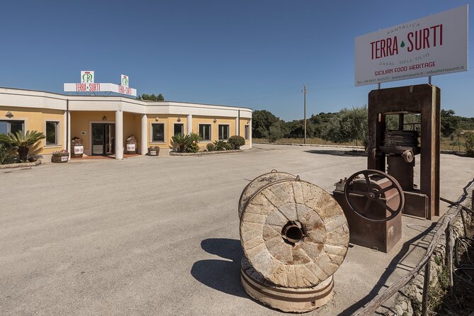 Visit to the olive grove, oil tasting and lunch at the farm - From bruschetta to pizzolo: what your farm brunch includes