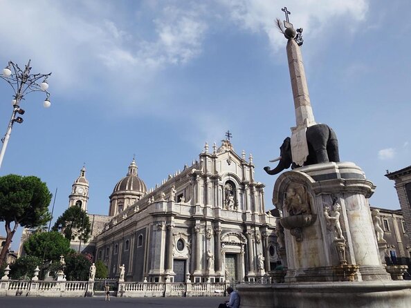 WalkingTour CATANIA - discovering the city of lava with a licensed guide - Palazzo degli Elefanti: town hall, elephant details, and why it matters