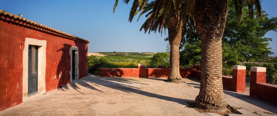 Wine Tasting and Typical Tastings in the Val di Noto - Key highlights not to miss