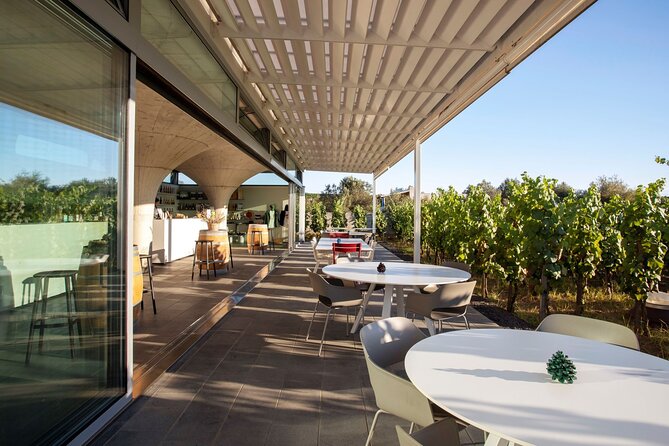 Wine tasting THE CLASSICS - What you actually learn on the winery walk