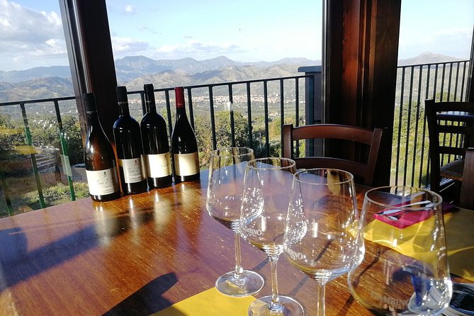 Wine Tasting Tour from Taormina - Getting to Gambino Winery from Taormina Without the Stress Tax