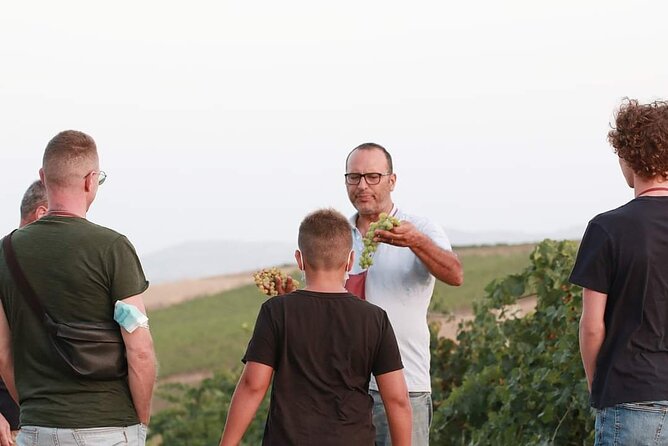 Wine Tour in the historic Baglio Florio Adamo with Lunch - The Agronomic Walk: How the Estate Explains the Glass