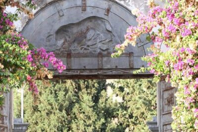 Wine Tour in the historic Baglio Florio Adamo with Lunch - Entering the Old Florio Cellar and the Production Story