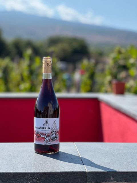 Wine tour with wine tasting - Key moments that make this tour worth your time